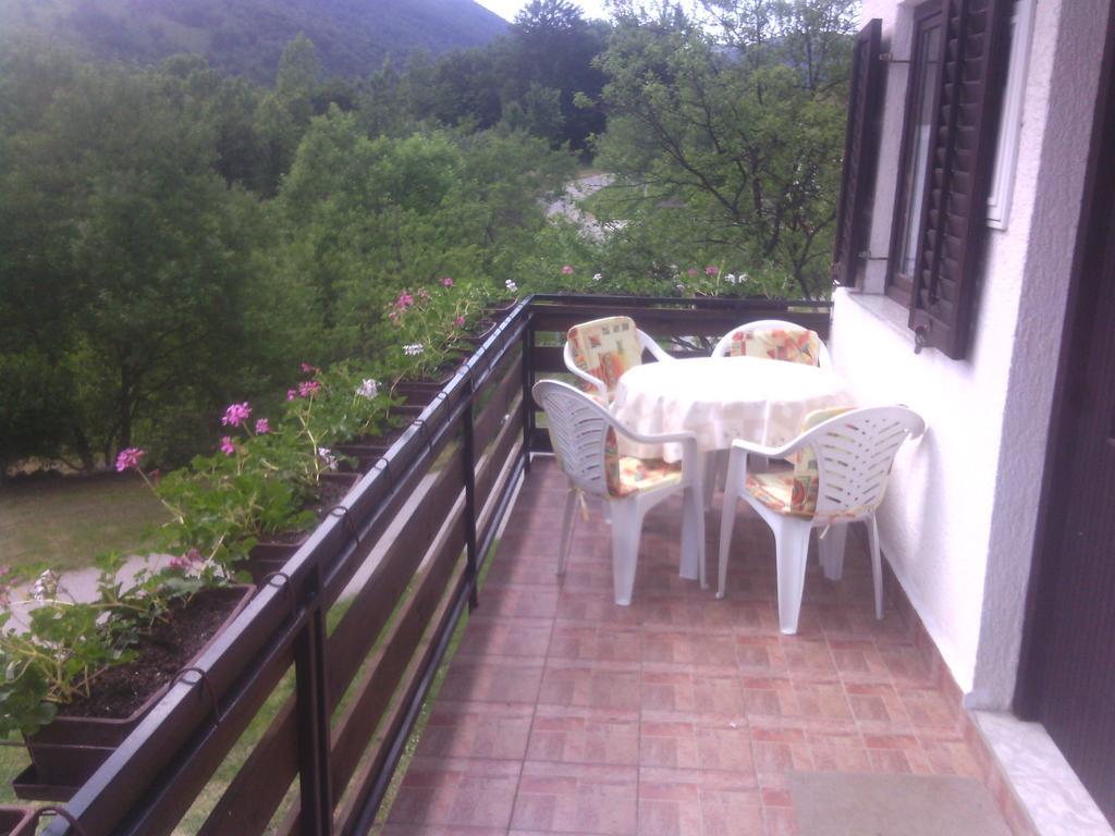 Apartment Ankica Selište Drežničko Rom bilde