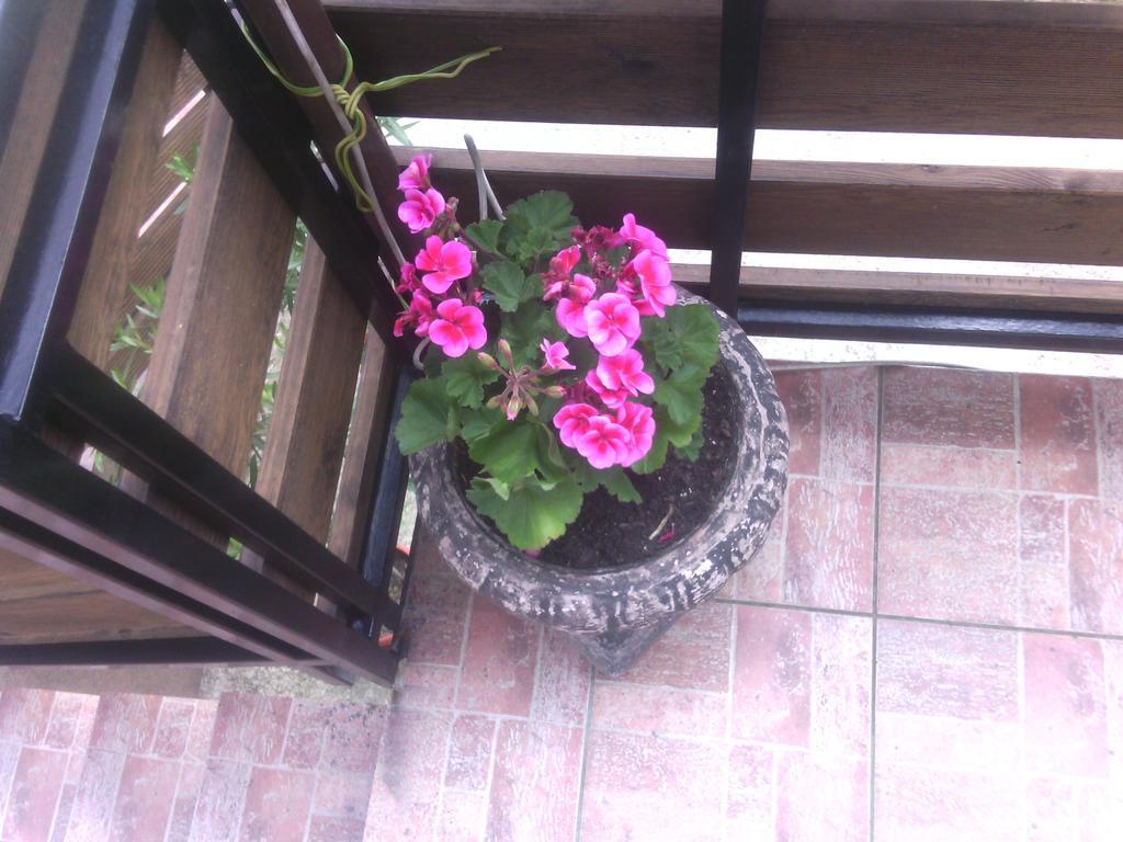 Apartment Ankica Selište Drežničko Rom bilde