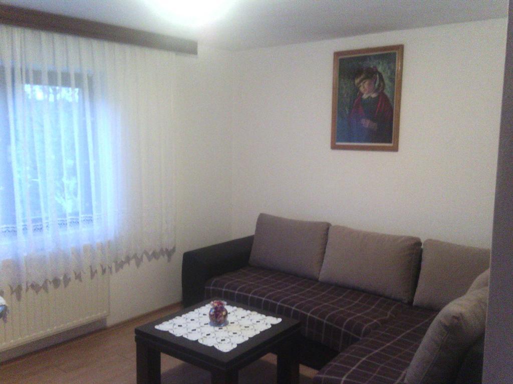 Apartment Ankica Selište Drežničko Rom bilde