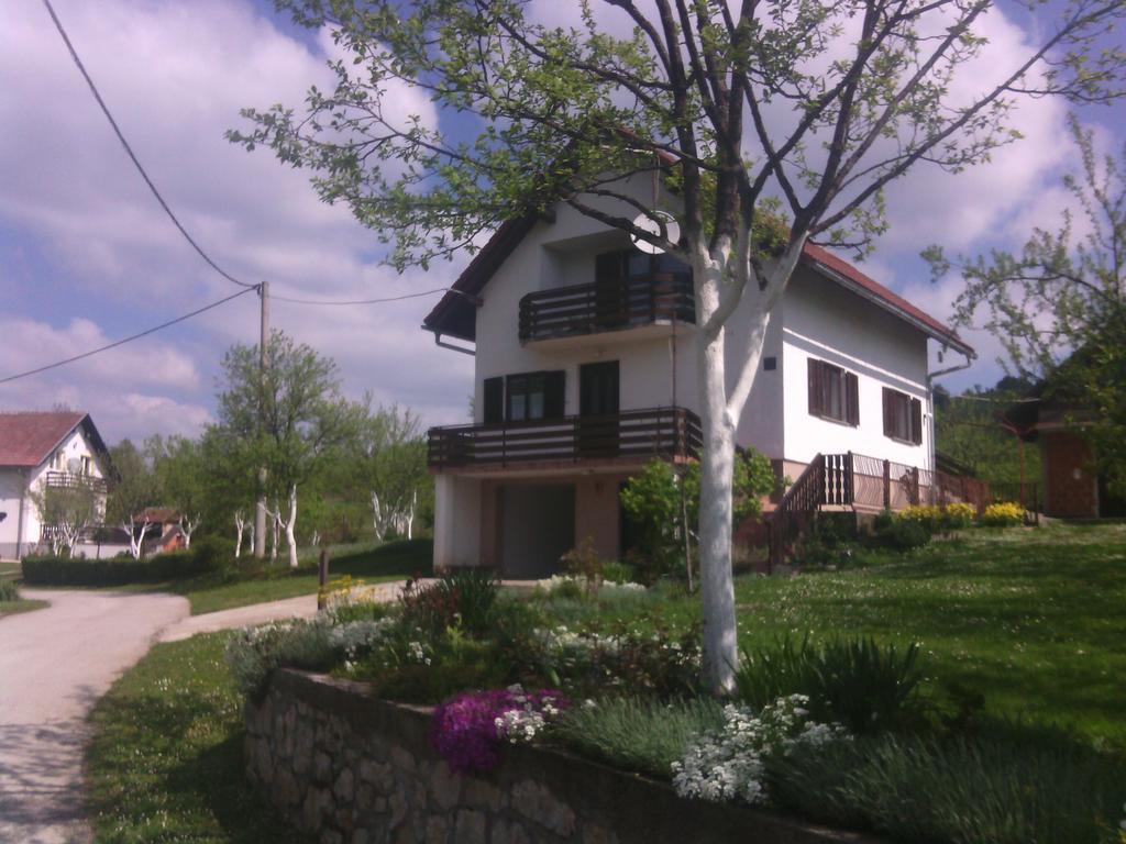 Apartment Ankica Selište Drežničko Rom bilde