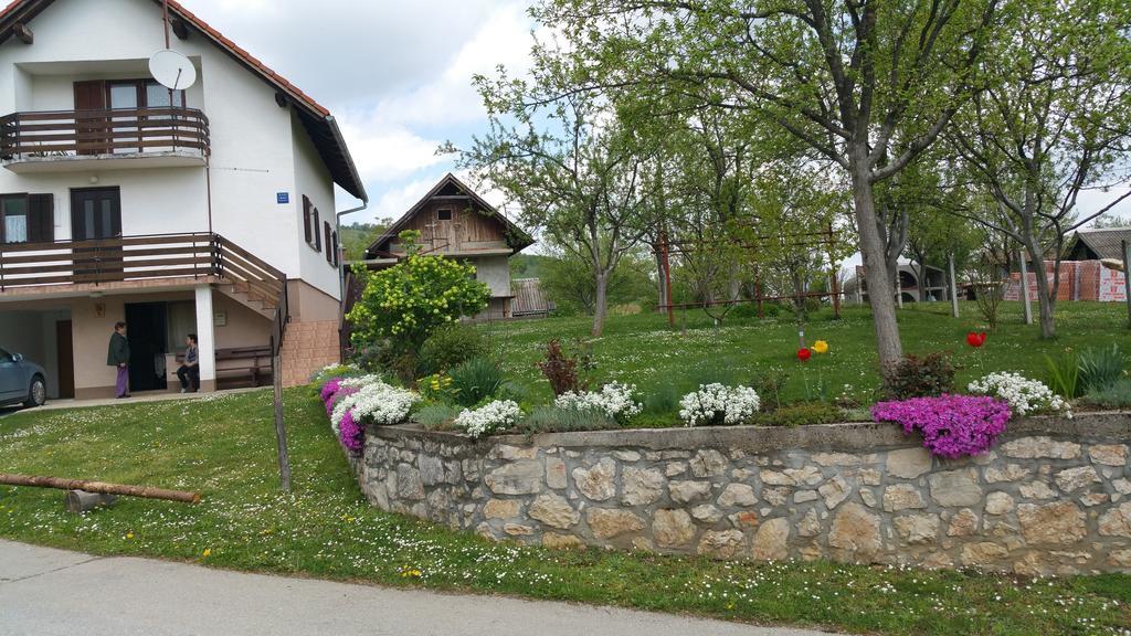 Apartment Ankica Selište Drežničko Eksteriør bilde