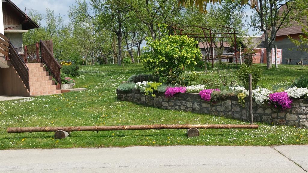 Apartment Ankica Selište Drežničko Eksteriør bilde