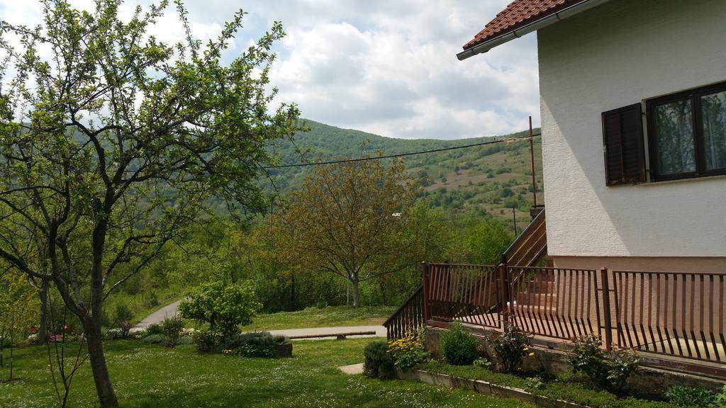Apartment Ankica Selište Drežničko Eksteriør bilde