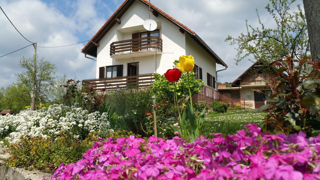 Apartment Ankica Selište Drežničko Eksteriør bilde