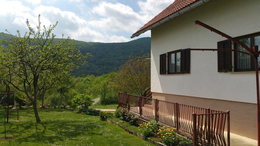 Apartment Ankica Selište Drežničko Eksteriør bilde
