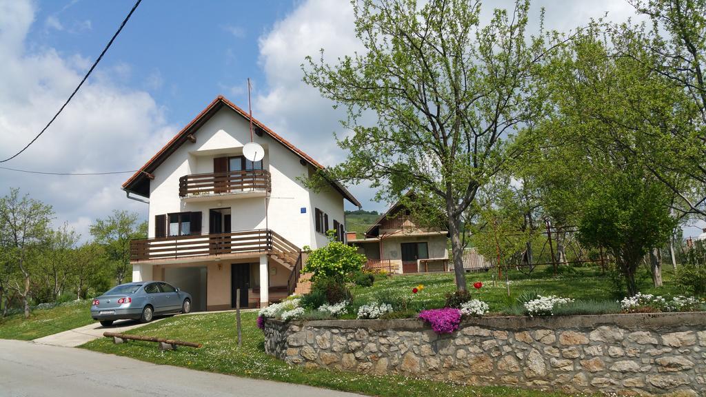 Apartment Ankica Selište Drežničko Eksteriør bilde