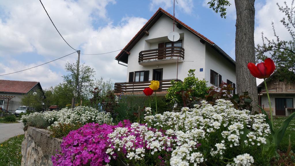 Apartment Ankica Selište Drežničko Eksteriør bilde
