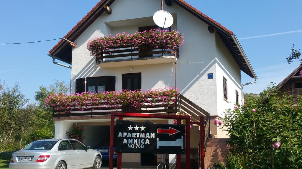 Apartment Ankica Selište Drežničko Eksteriør bilde