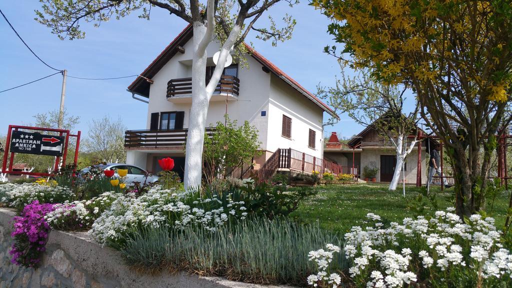 Apartment Ankica Selište Drežničko Eksteriør bilde