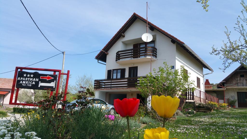 Apartment Ankica Selište Drežničko Eksteriør bilde