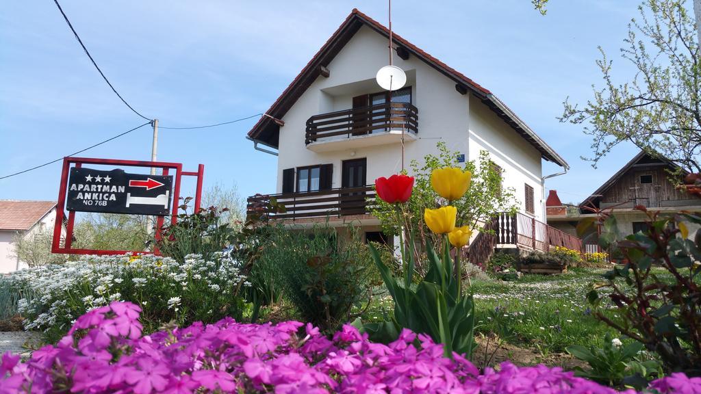 Apartment Ankica Selište Drežničko Eksteriør bilde