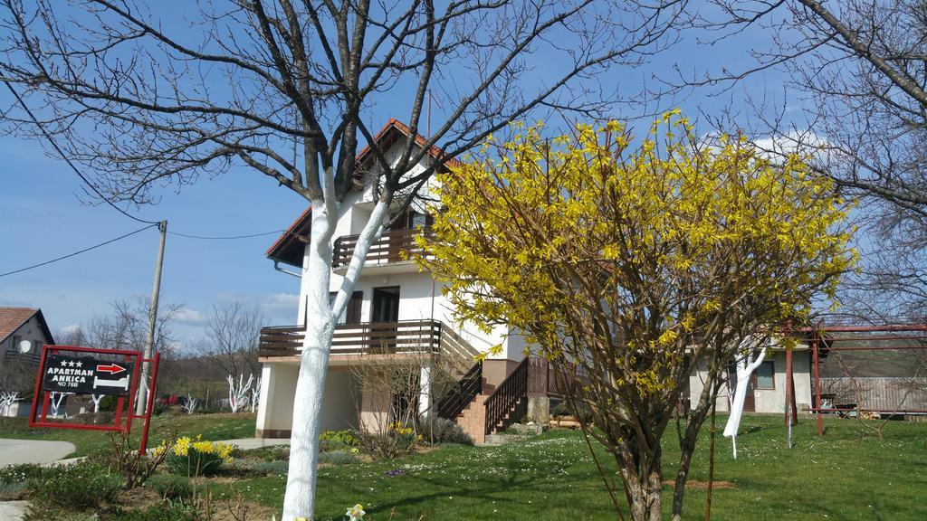 Apartment Ankica Selište Drežničko Eksteriør bilde
