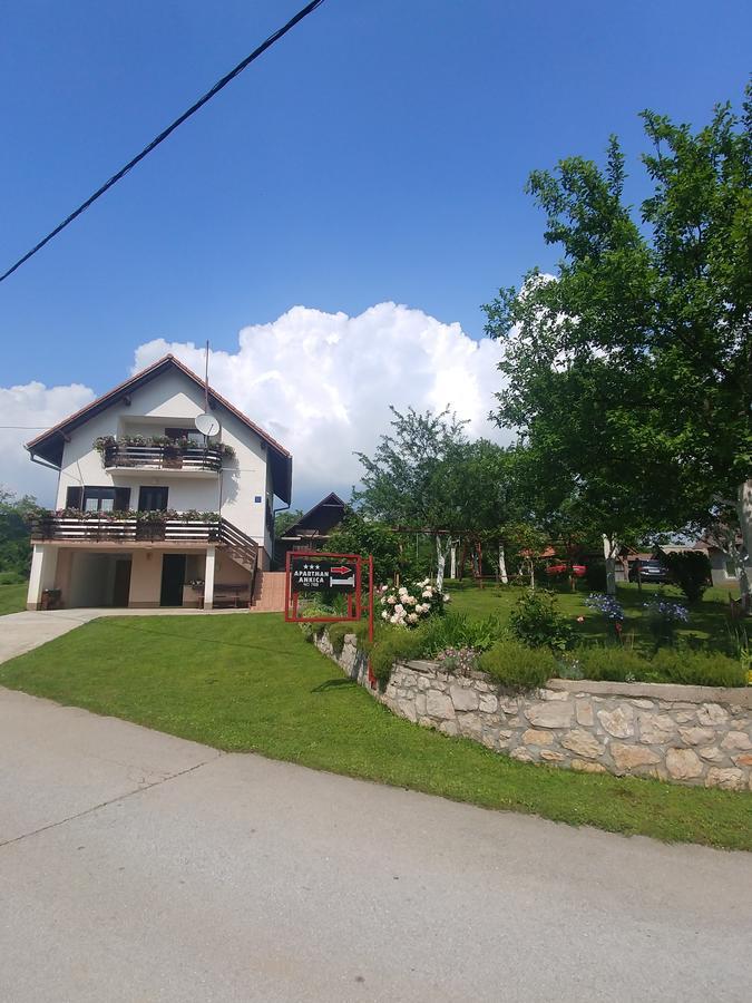 Apartment Ankica Selište Drežničko Eksteriør bilde