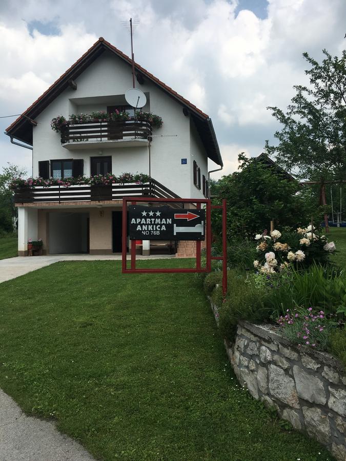 Apartment Ankica Selište Drežničko Eksteriør bilde