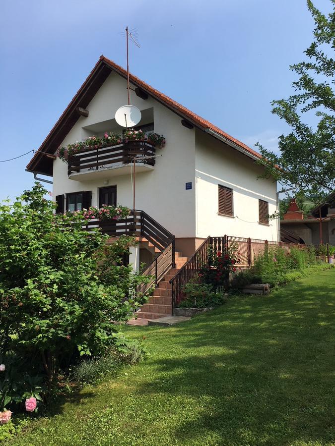 Apartment Ankica Selište Drežničko Eksteriør bilde