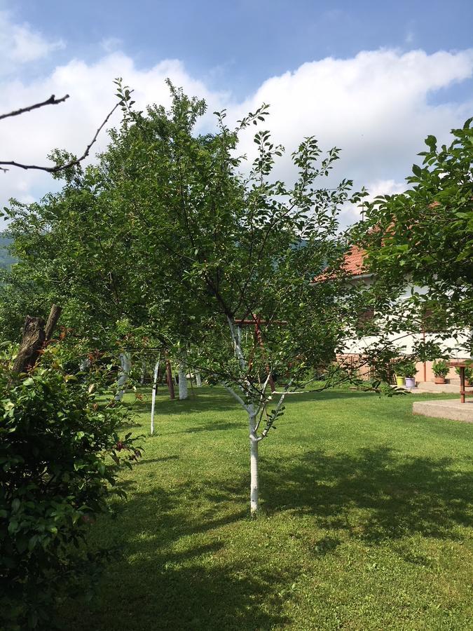 Apartment Ankica Selište Drežničko Eksteriør bilde