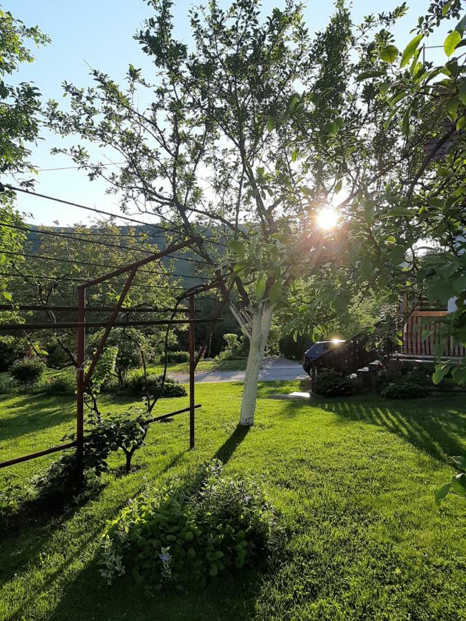 Apartment Ankica Selište Drežničko Eksteriør bilde