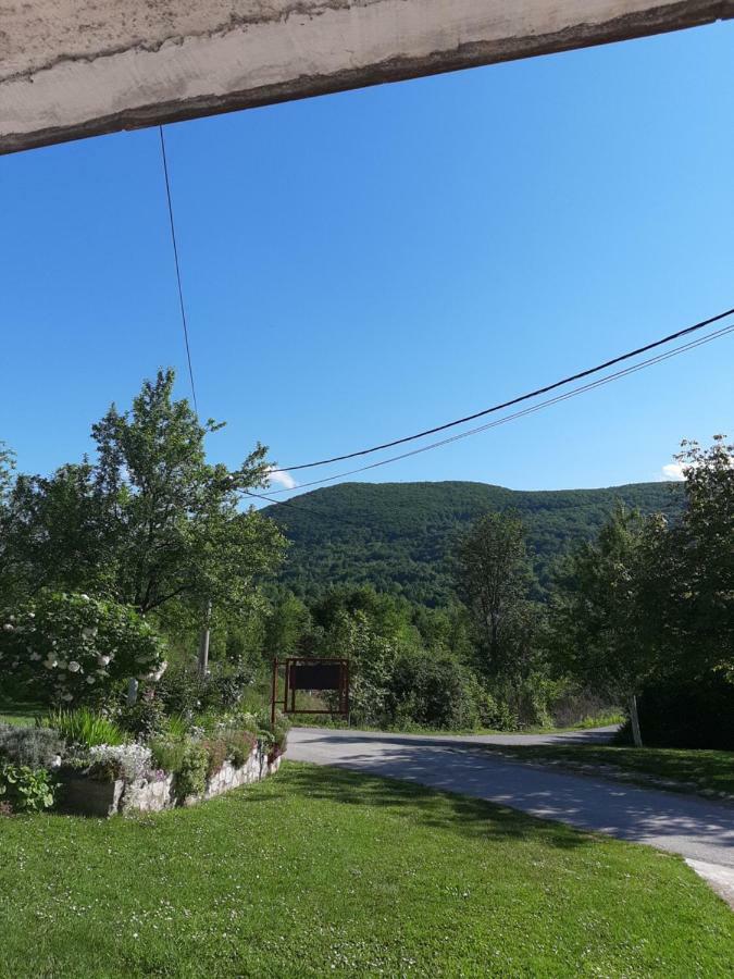 Apartment Ankica Selište Drežničko Eksteriør bilde