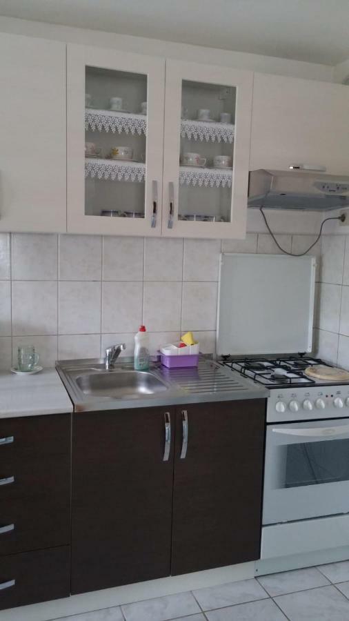 Apartment Ankica Selište Drežničko Eksteriør bilde