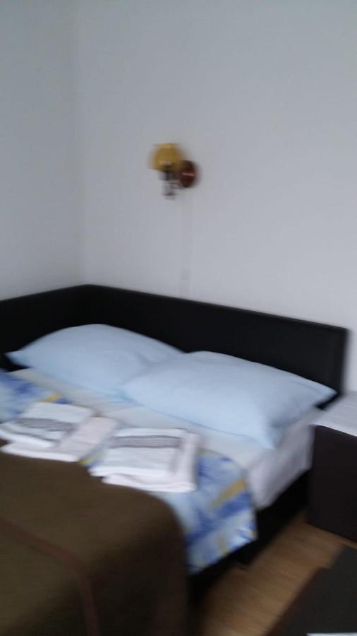 Apartment Ankica Selište Drežničko Eksteriør bilde