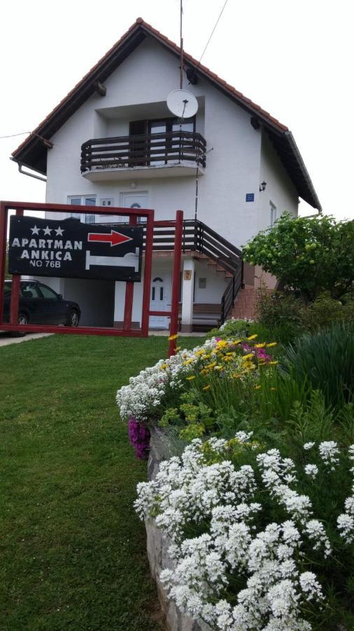 Apartment Ankica Selište Drežničko Eksteriør bilde