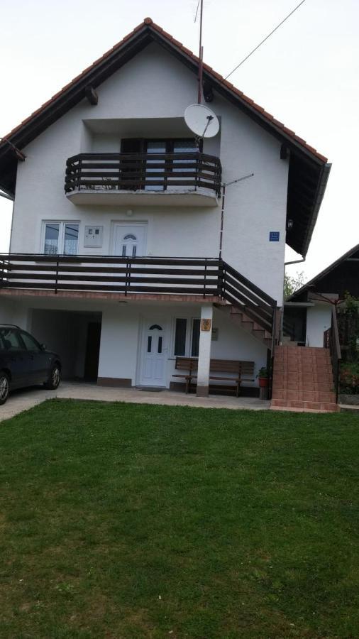 Apartment Ankica Selište Drežničko Eksteriør bilde