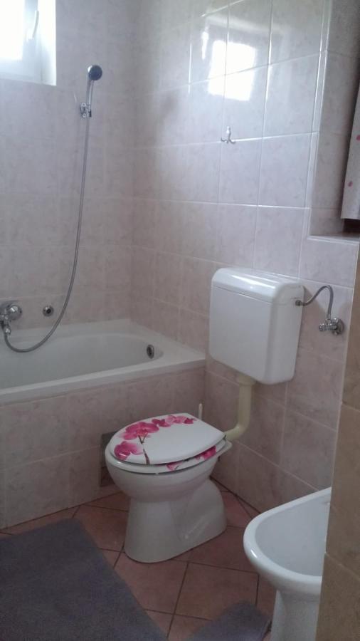 Apartment Ankica Selište Drežničko Eksteriør bilde
