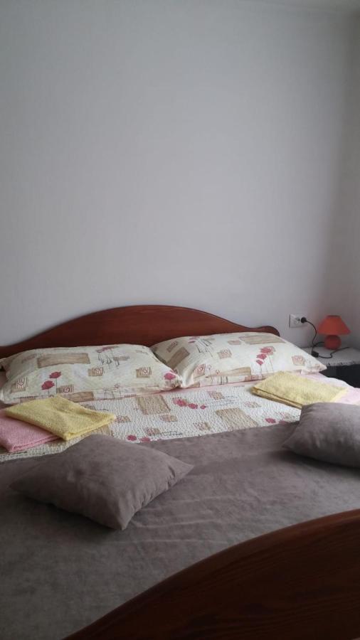Apartment Ankica Selište Drežničko Eksteriør bilde
