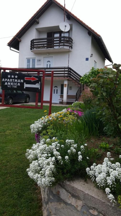 Apartment Ankica Selište Drežničko Eksteriør bilde