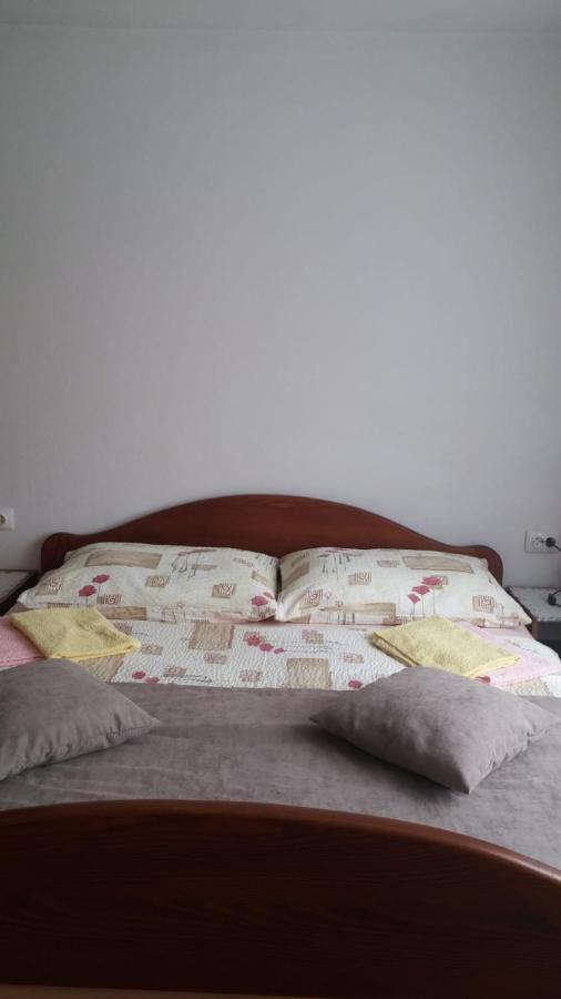 Apartment Ankica Selište Drežničko Eksteriør bilde